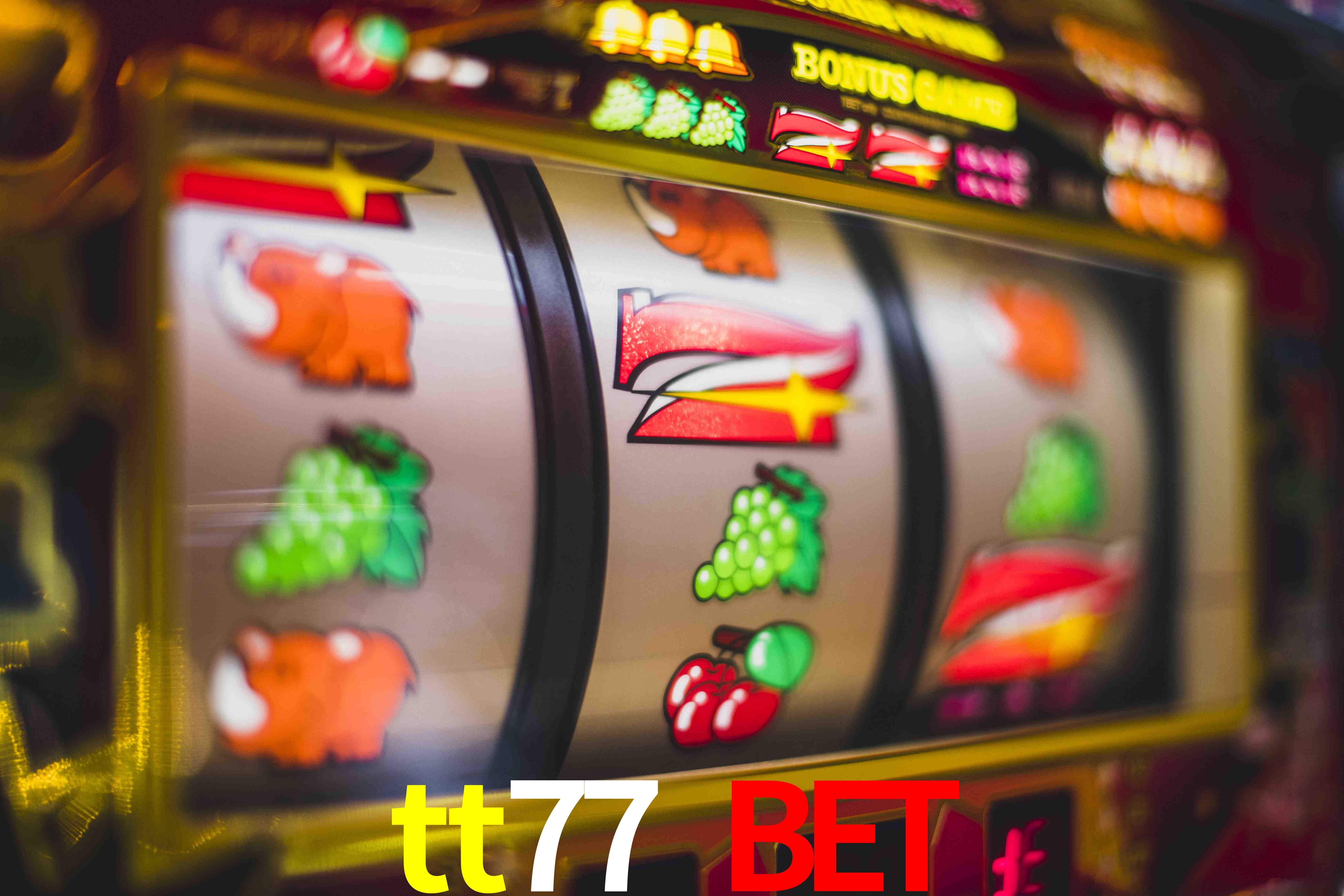 Account Benefits tt77 bet